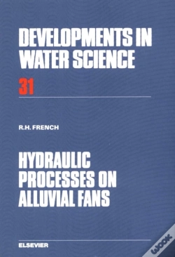 Capa do artigo Hydraulic Processes On Alluvial Fans