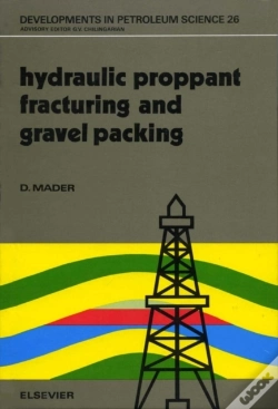 Capa do artigo Hydraulic Proppant Fracturing And Gravel Packing