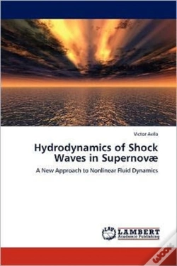 Capa do artigo Hydrodynamics Of Shock Waves In Supernova