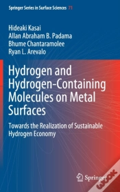 Capa do artigo Hydrogen And Hydrogen-Containing Molecules On Metal Surfaces