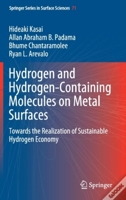 Capa do artigo Hydrogen And Hydrogen-Containing Molecules On Metal Surfaces