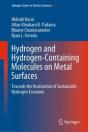 Hydrogen And Hydrogen-Containing Molecules On Metal Surfaces - Preview