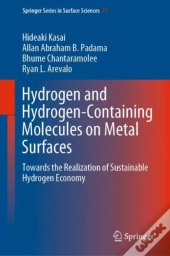 Hydrogen And Hydrogen-Containing Molecules On Metal Surfaces