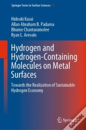 Capa do artigo Hydrogen And Hydrogen-Containing Molecules On Metal Surfaces