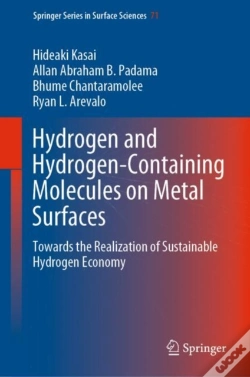 Capa do artigo Hydrogen And Hydrogen-Containing Molecules On Metal Surfaces