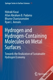 Capa do artigo Hydrogen And Hydrogen-Containing Molecules On Metal Surfaces