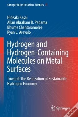 Capa do artigo Hydrogen And Hydrogen-Containing Molecules On Metal Surfaces