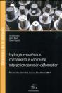 Hydrogène-Matériaux, Corrosion Sous Contrainte, Interaction Corrosion-Déformation - Preview