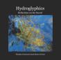 Hydroglyphics - Preview