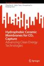 Hydrophobic Ceramic Membranes For Co2 Capture - Preview