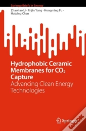 Hydrophobic Ceramic Membranes For Co2 Capture