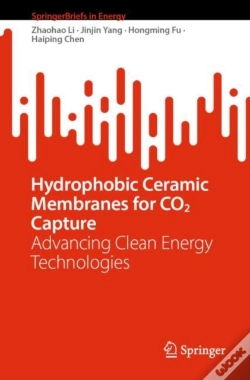 Capa do artigo Hydrophobic Ceramic Membranes For Co2 Capture