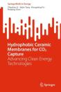 Hydrophobic Ceramic Membranes For Co2 Capture - Preview