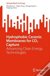 Hydrophobic Ceramic Membranes For Co2 Capture