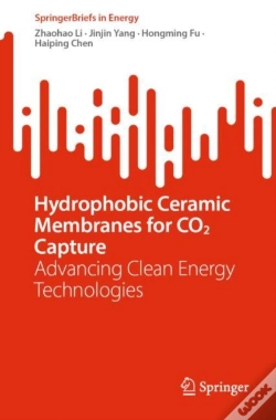 Capa do artigo Hydrophobic Ceramic Membranes For Co2 Capture