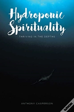 Capa do artigo Hydroponic Spirituality
