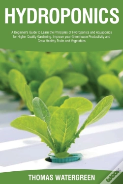 Capa do artigo Hydroponics: A Beginner'S Guide To Learn