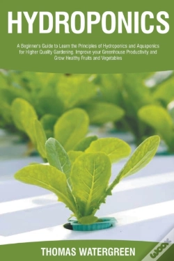 Capa do artigo Hydroponics: A Beginner'S Guide To Learn
