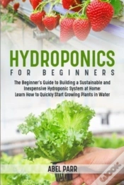 Capa do artigo Hydroponics For Beginners