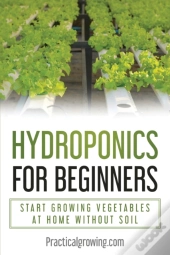 Hydroponics For Beginners