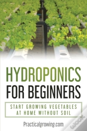 Capa do artigo Hydroponics For Beginners