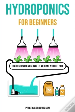 Capa do artigo Hydroponics For Beginners