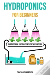 Capa do artigo Hydroponics For Beginners