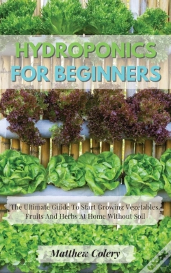 Capa do artigo Hydroponics For Beginners: The Ultimate