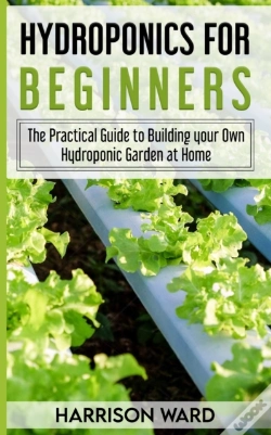 Capa do artigo Hydroponics For Beginners