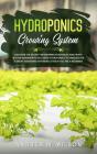 Hydroponics Growing System - Preview