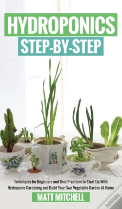 Capa do artigo Hydroponics Step-By-Step
