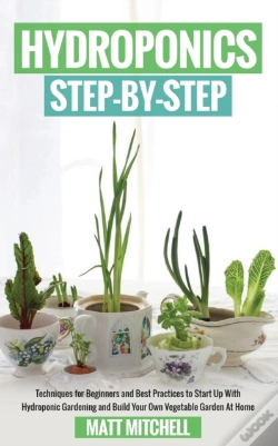 Capa do artigo Hydroponics Step-By-Step