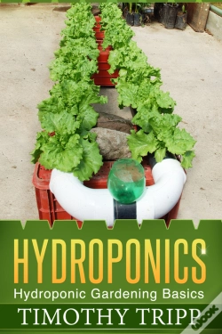 Capa do artigo Hydroponics