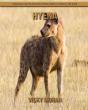 Hyena - Preview
