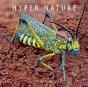 Hyper Nature - Preview