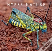 Capa do artigo Hyper Nature