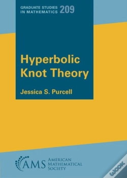 Capa do artigo Hyperbolic Knot Theory