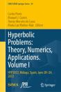 Hyperbolic Problems: Theory, Numerics, Applications. Volume I - Preview