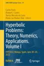 Hyperbolic Problems: Theory, Numerics, Applications. Volume I - Preview