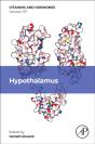 Hypothalamus - Preview