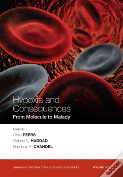 Capa do artigo Hypoxia And Consequences, Volume 1177
