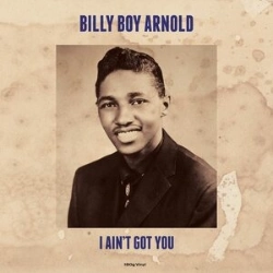 Capa do artigo I Ain't Got You - Vinil