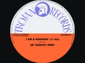 Capa do artigo I Am a Madman - Vinil