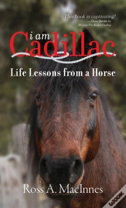 Capa do artigo I Am Cadillac