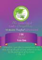 I Am Gifted Vision Workbook - Preview