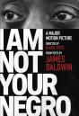 I Am Not Your Negro - Preview