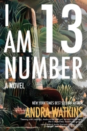 I Am Number 13