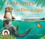 I Am Oliver The Otter - Preview