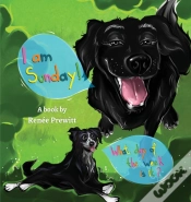 Capa do artigo I Am Sunday!