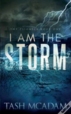 Capa do artigo I Am The Storm